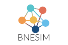 BNSIM